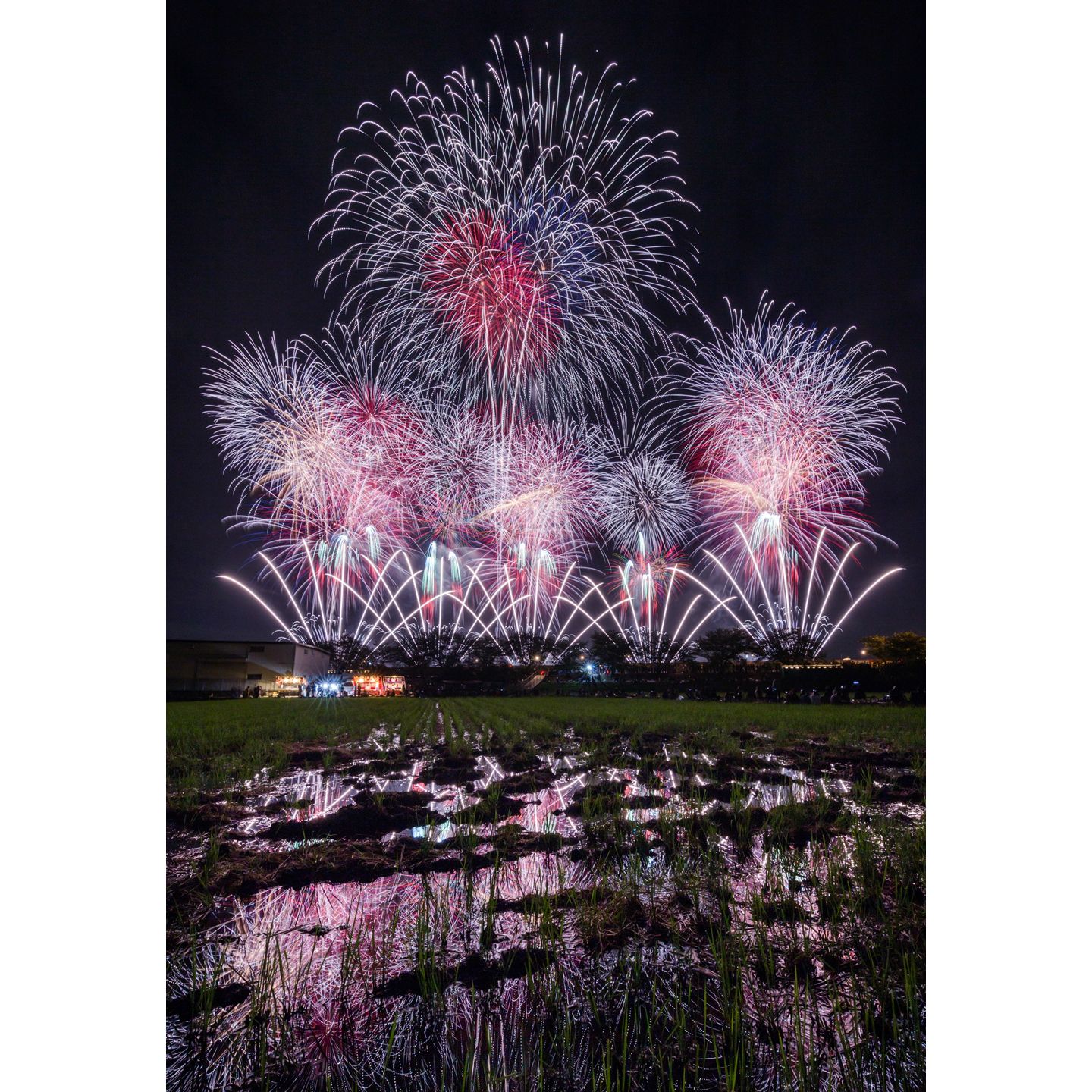 最優秀賞「夜空彩る秋の花」 ©土浦全国花火競技大会実行委員会