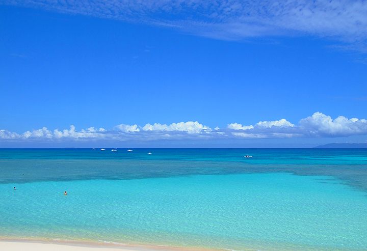 クリームソーダ色の海がどこまでも続く