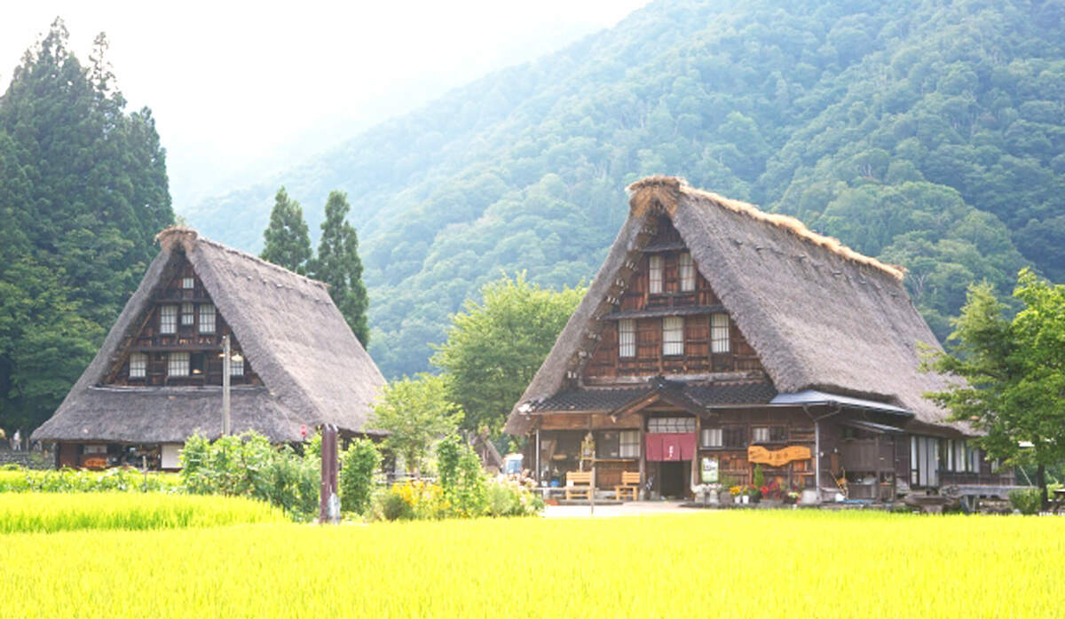 茅葺き ペット用 コレクション