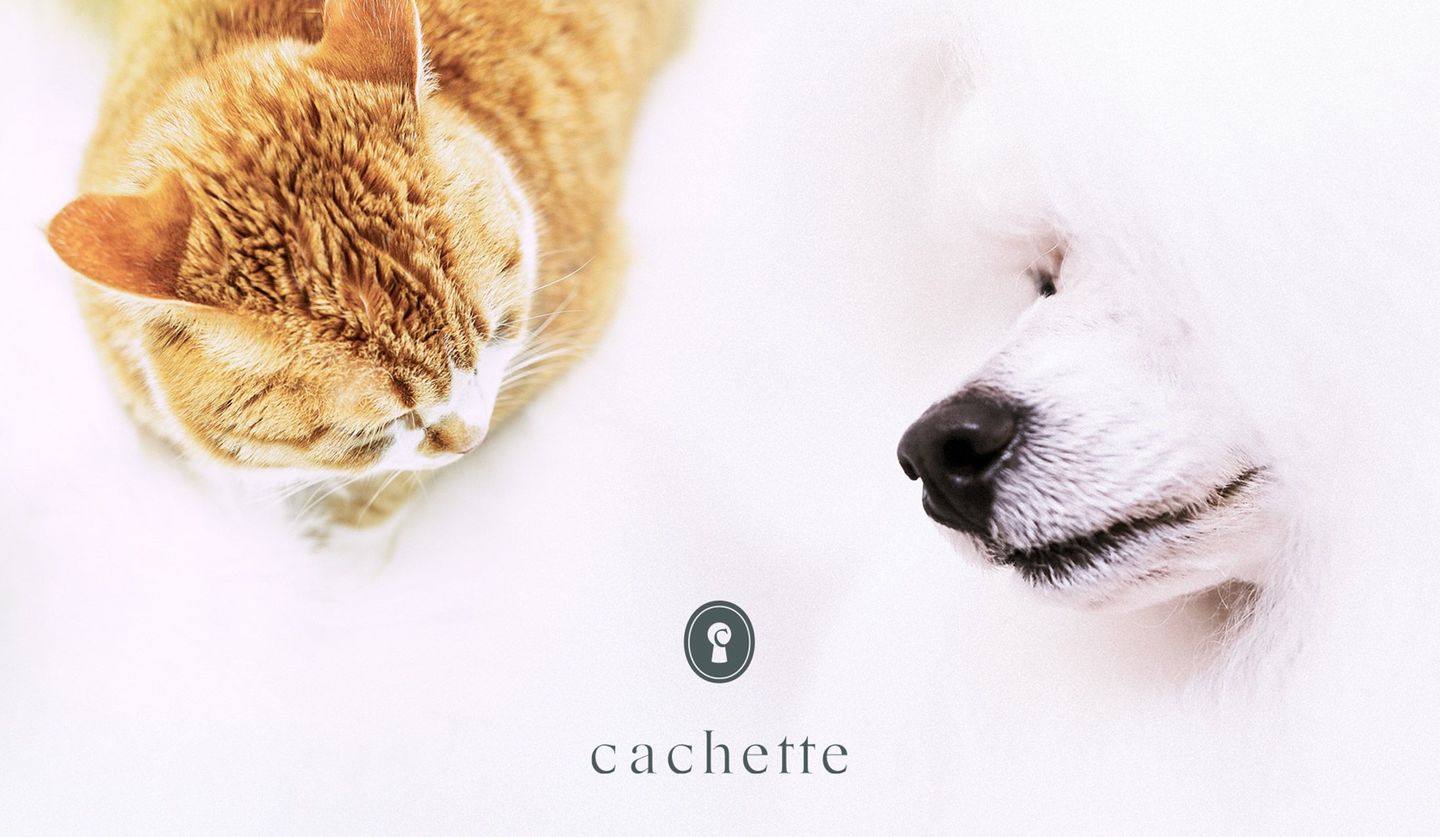 愛犬家・愛猫家による会員制プラットフォーム「cachette （カシェット）」のサイトイメージ