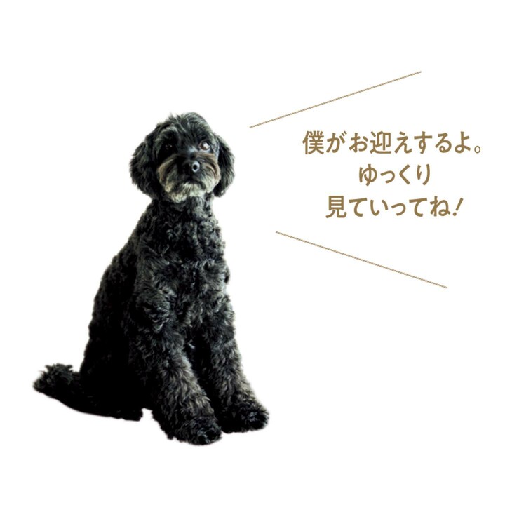 リタさんの愛犬のオリバー