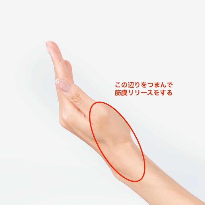 つまんで筋膜リリースする場所を確認