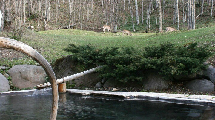 「糠平温泉 中村屋」の露天風呂