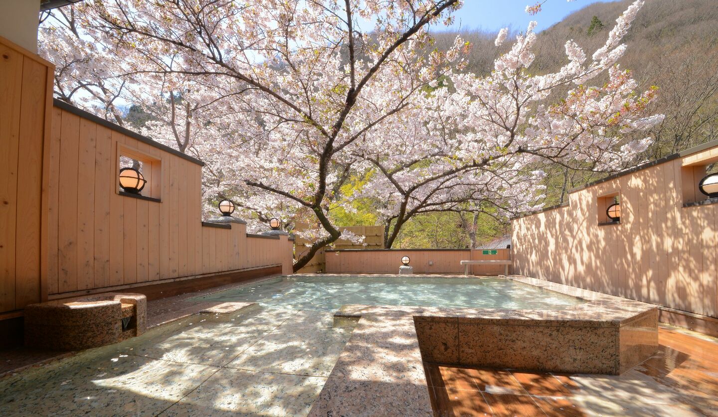 福島県・磐梯熱海温泉にある「離れの宿 よもぎ埜」の大浴場の露天風呂「森と桜の湯」