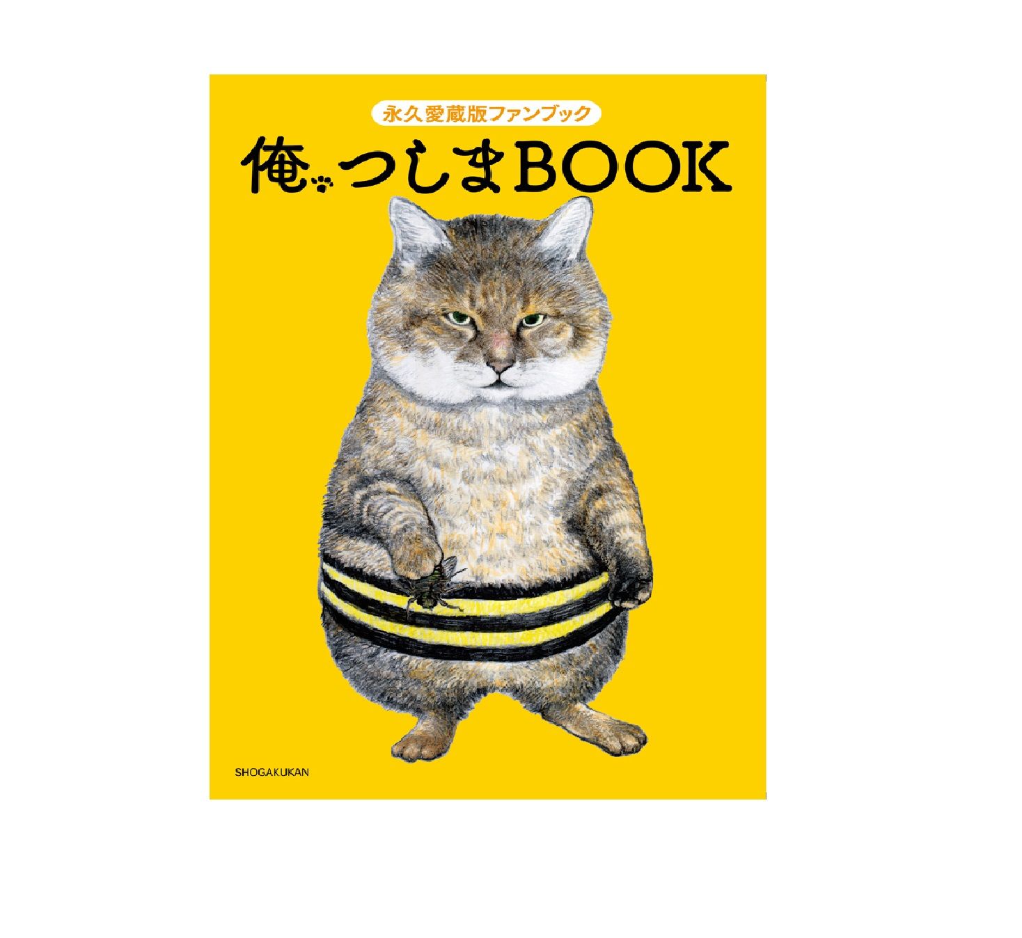 俺、つしま