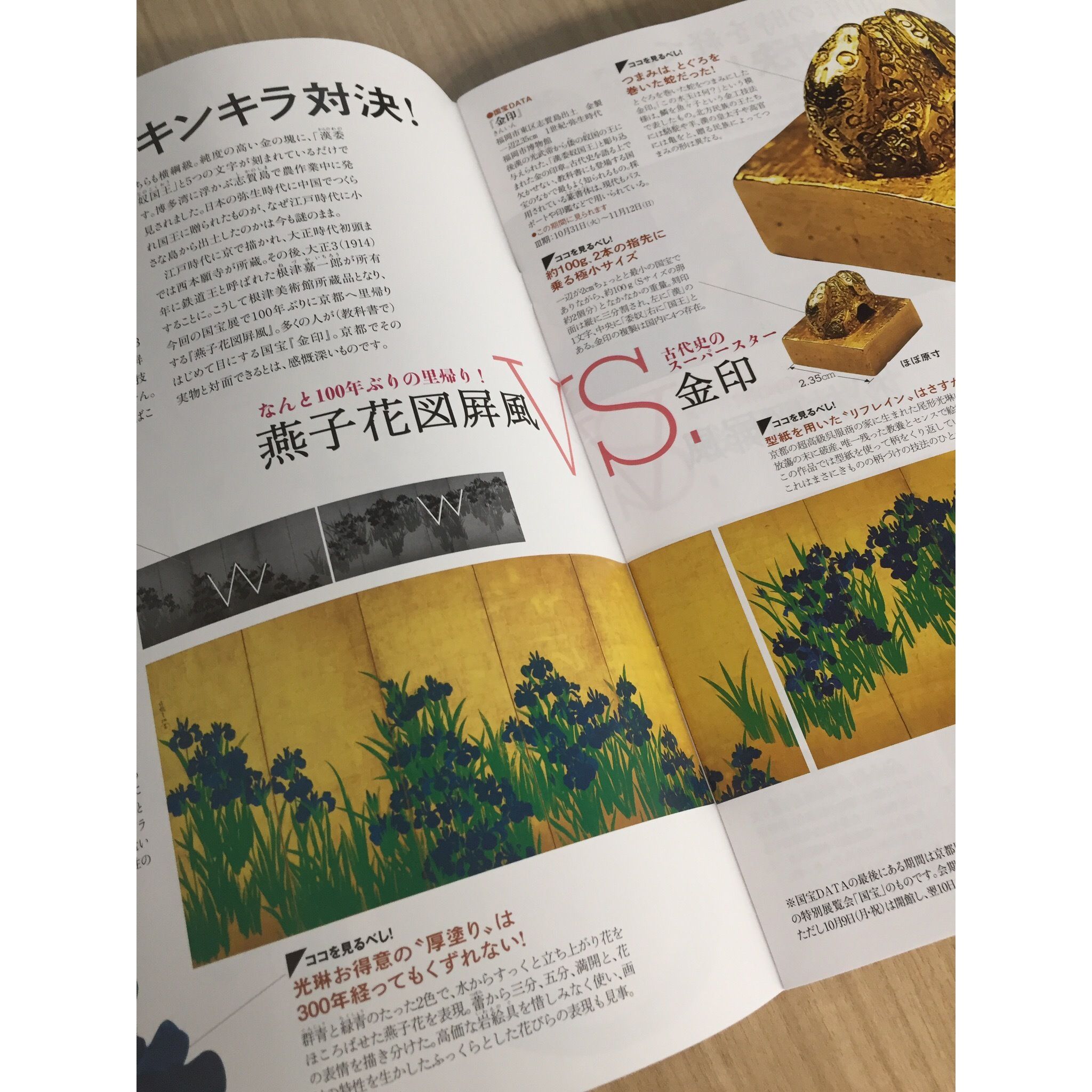 約100年ぶりに京都に里帰りする琳派の名作『燕子花図屏風』。関西初展示で、行列必至か!?(『和樂』2017年10・11月号より)