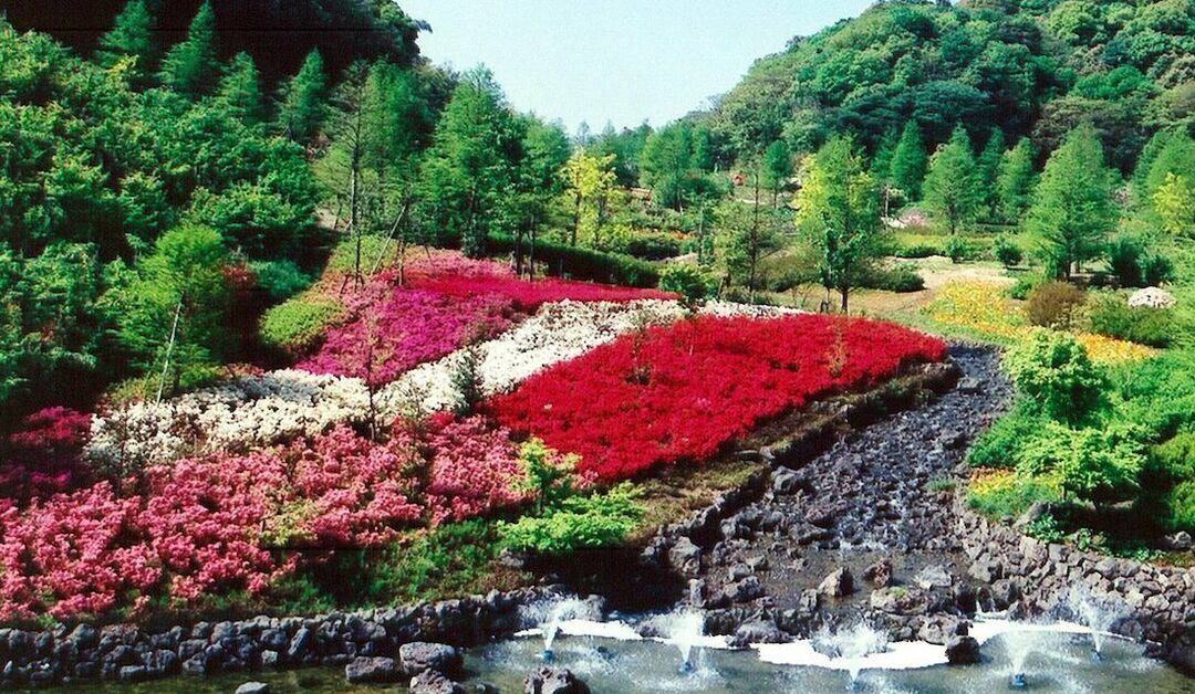 マニアがおすすめ 旅行ついでにぜひ立ち寄りたい 西日本のsapa ３選 Precious Jp プレシャス