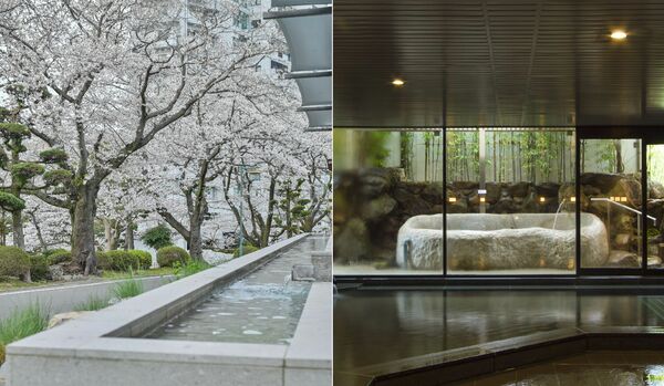 【温泉ジャーナリストの推し宿 vol.9】春の癒し旅へ!桜並木を望むモダンな宿で日本三大美肌の湯にひたる「旅館 吉田屋」