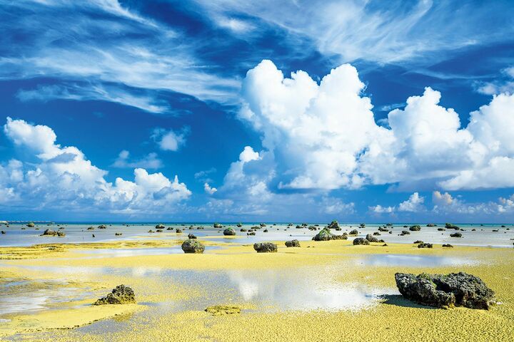 沖縄_4,絶景_4,旅行_4,国内旅行_4