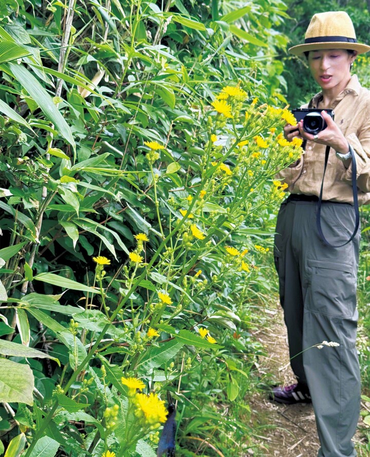 ライカのカメラで撮影する鈴木保奈美さん