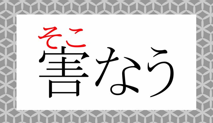 「損なう」とも表記します。
