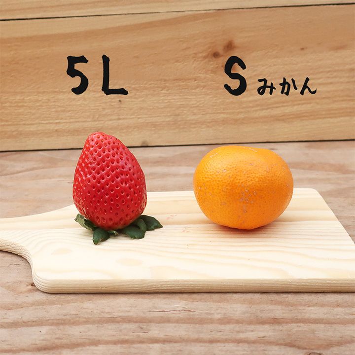 「栃木県スカイベリー」(価格:¥8,704)