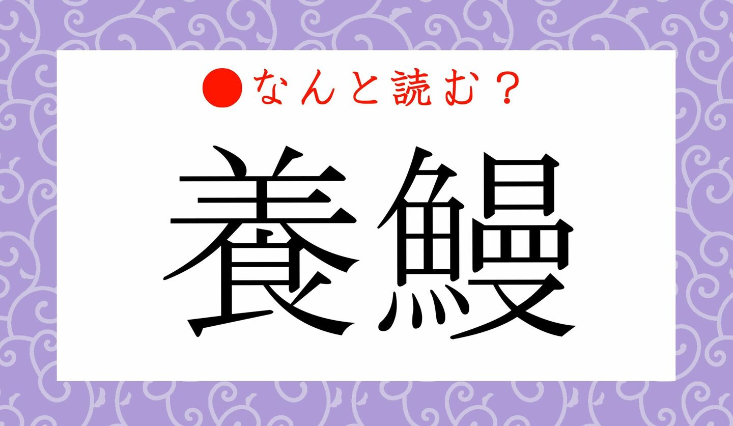 日本語クイズ　出題画像　難読漢字　「養鰻」なんと読む？