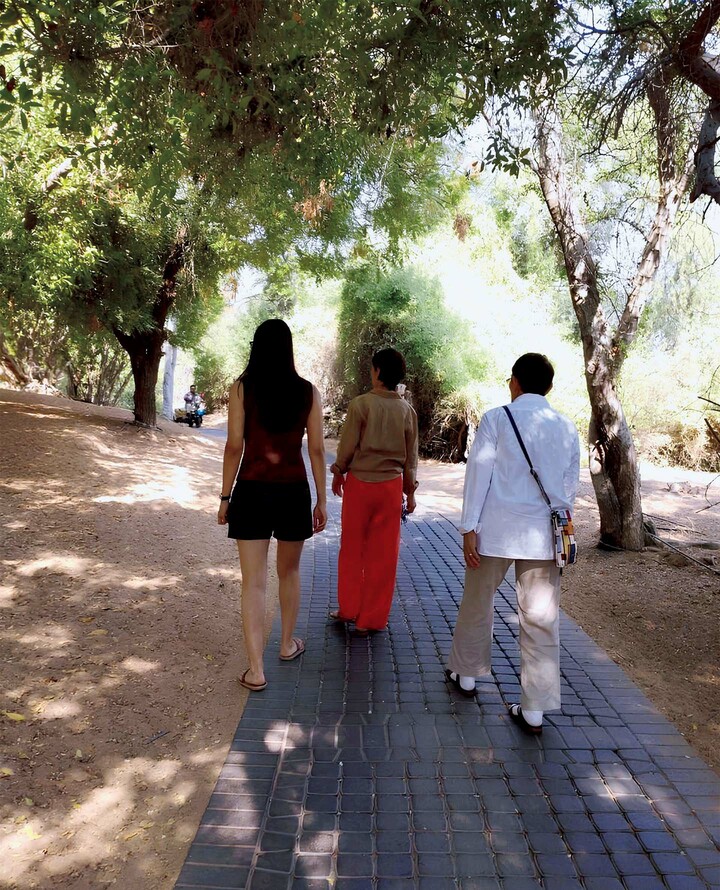 俳優の鈴木保奈美さんが撮影した写真