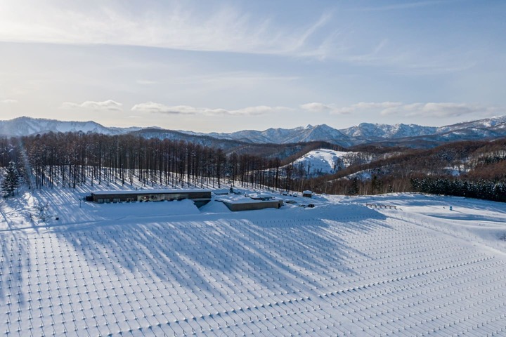 ワイン_6,酒_6,レストラン_6,ホテル_6,東京_6