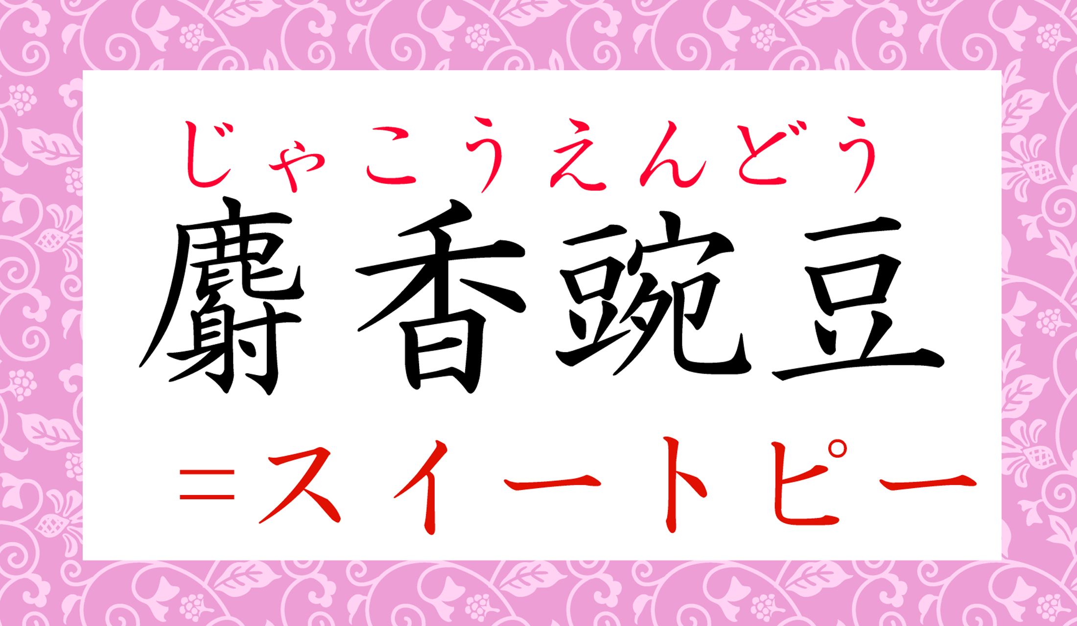 ふわふわと可愛らしい花ですよね!