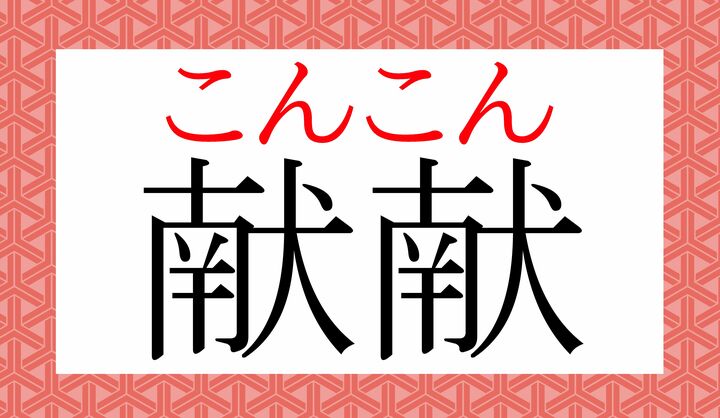 「献」の音読みは「ケン」のほか「コン」も常用漢字の範疇です。