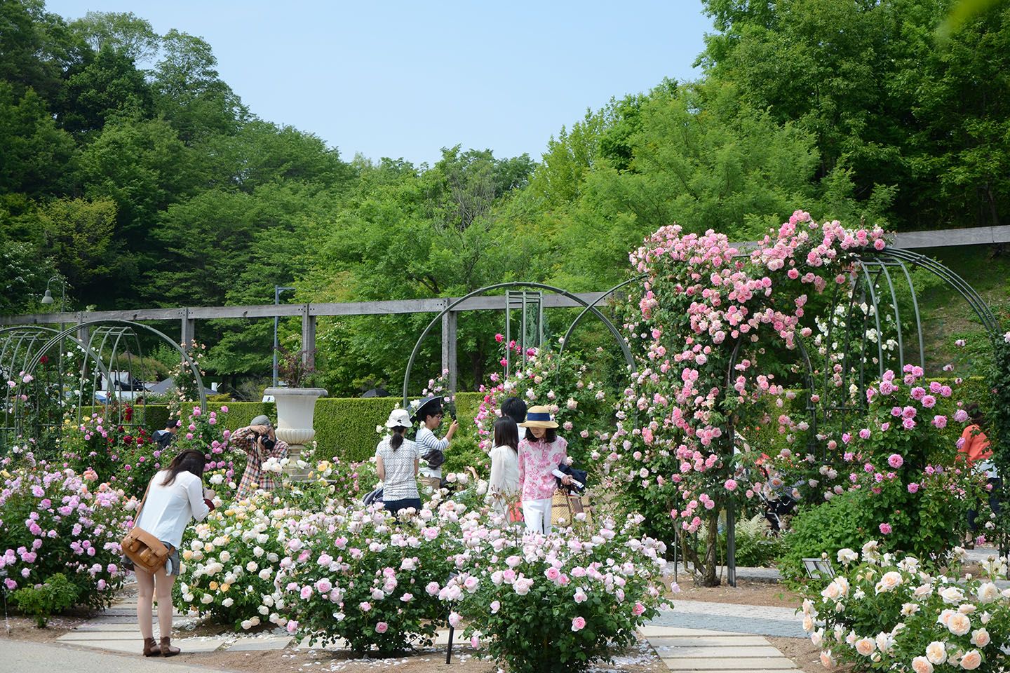 花_2,はちみつ_2,手土産_2