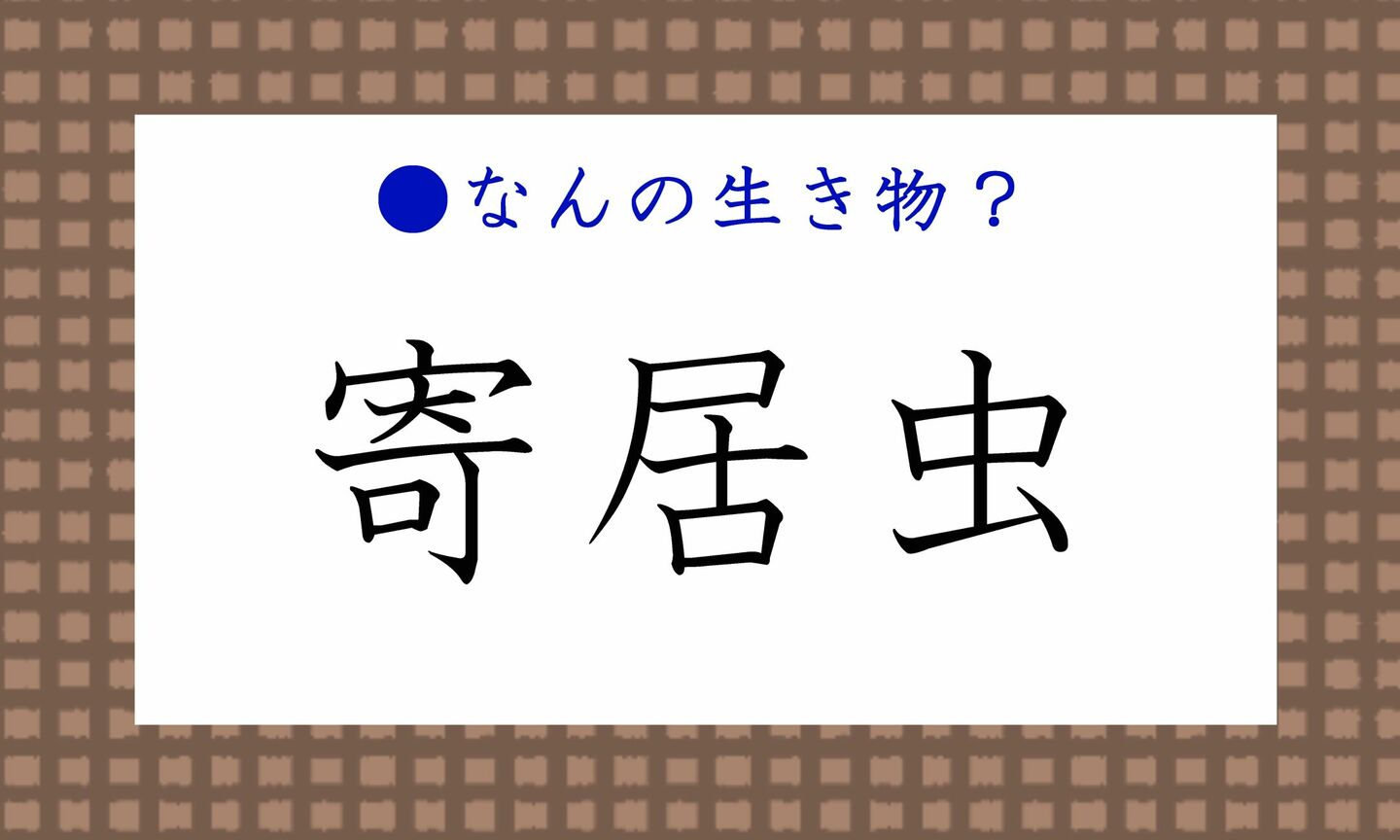 日本語クイズ　出題画像　難読漢字　「野分」なんの生き物？