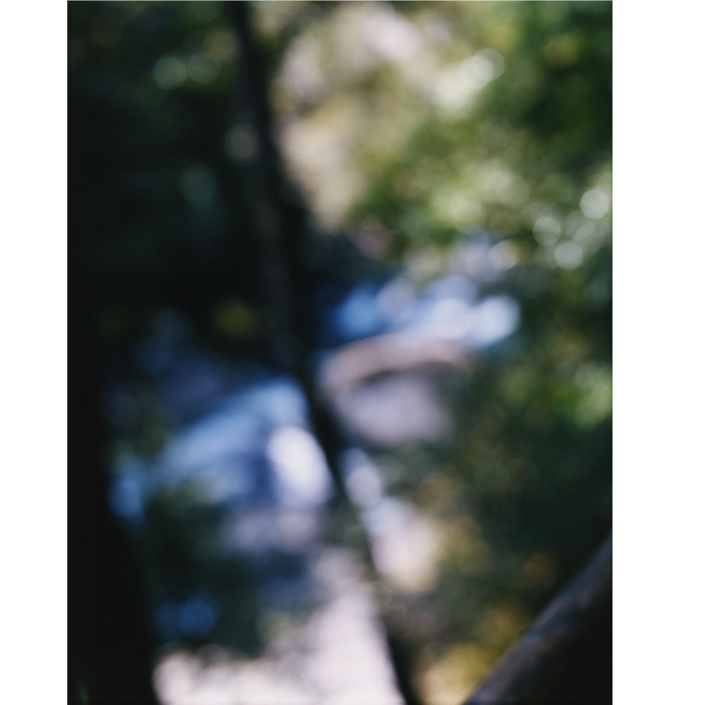 © Photograph Yoshihiko Ueda