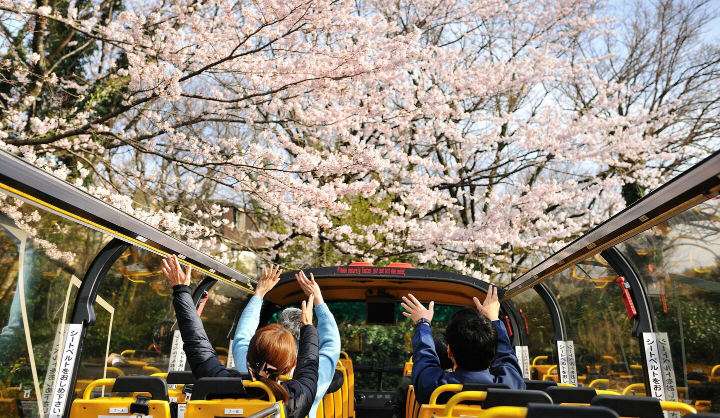 「界 伊東」「界 アンジン」で開催される「桜オープンバスツアー」