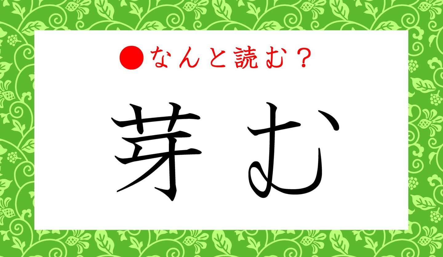 日本語クイズ　出題画像　難読漢字　「芽む」なんと読む？