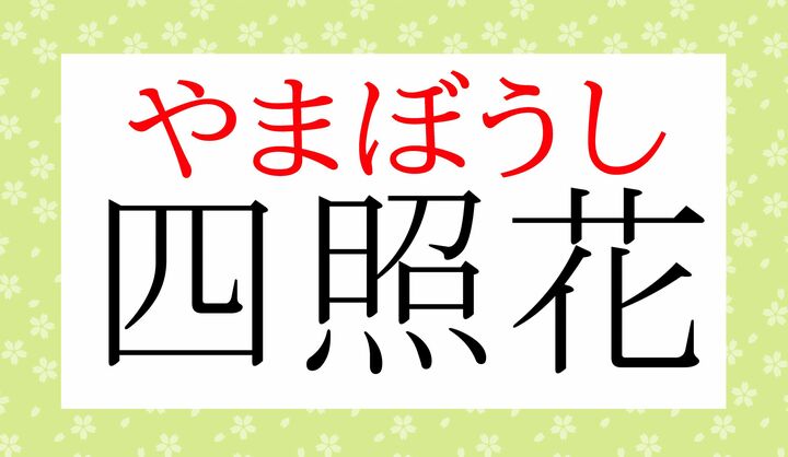 読めましたか？