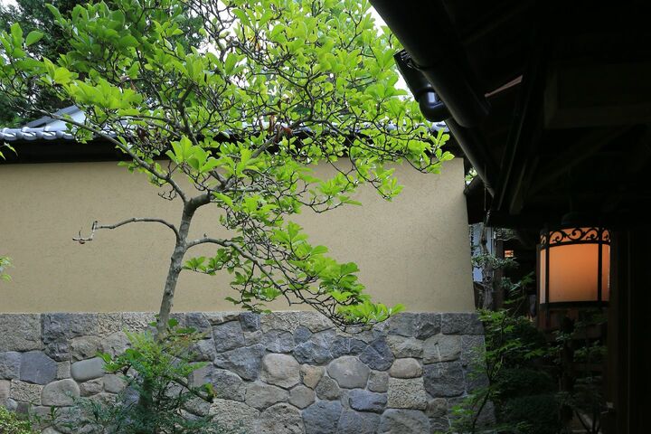 「武家屋敷 桜御殿」の土壁