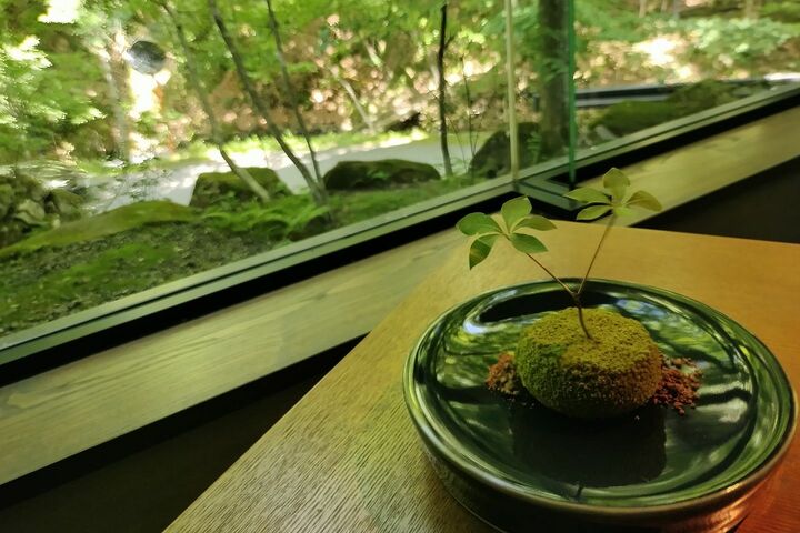 温泉_9,温泉,国内旅行_6,スイーツ_1