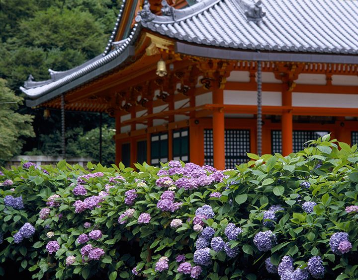 「勝尾寺」(大阪府箕面市)