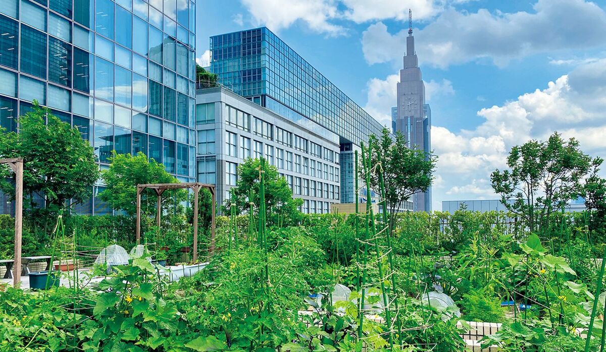 img_4ab0ad38d789cbcd6e9a89db55