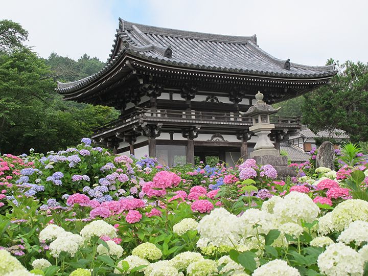 「丹州観音寺」(京都府福知山市)