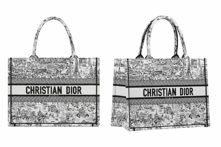 Dior Book Tote