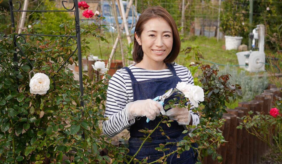 知らなかった！バラに「トレンド」や「セール時期」があるだ