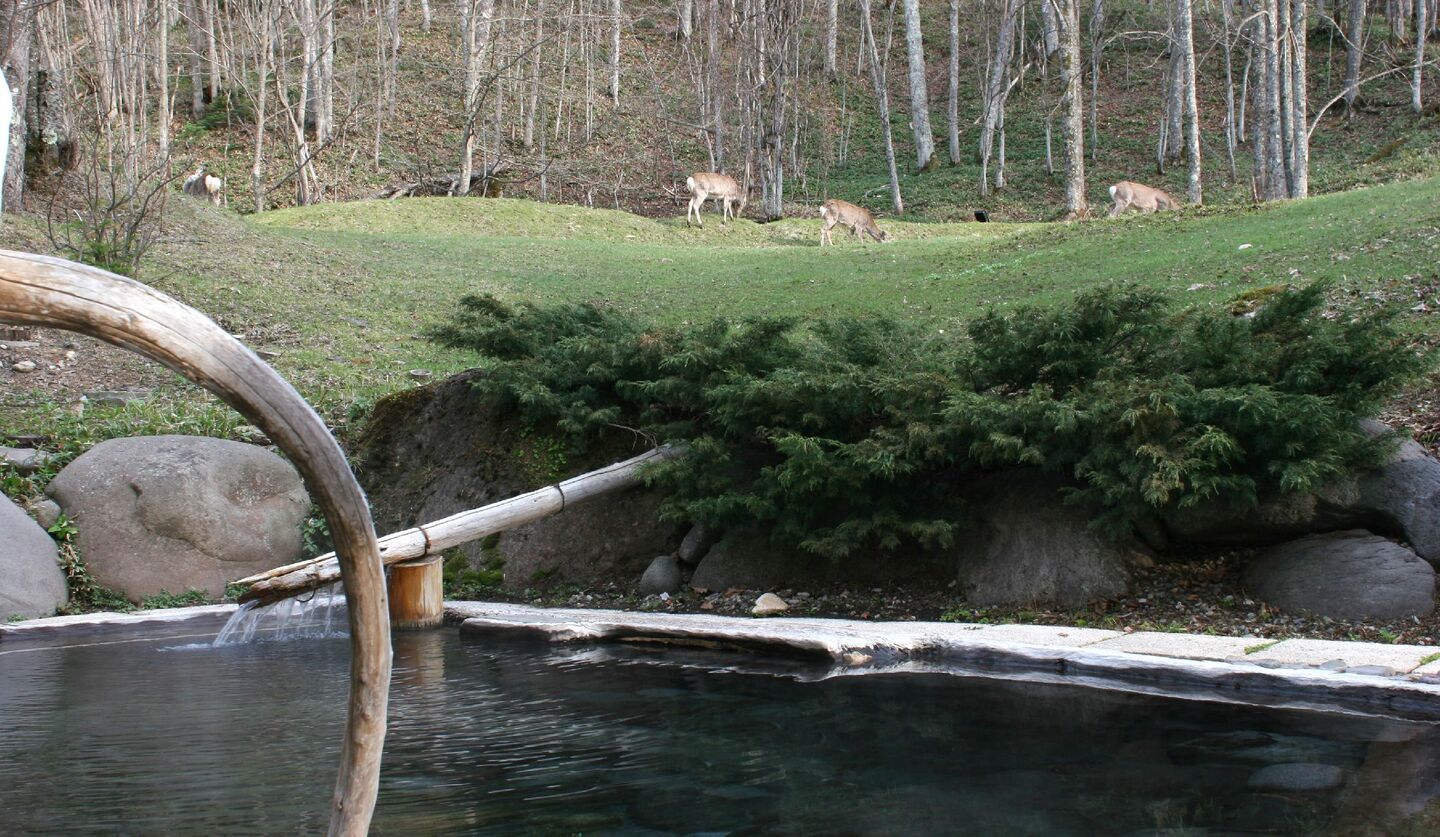 「糠平温泉 中村屋」の露天風呂
