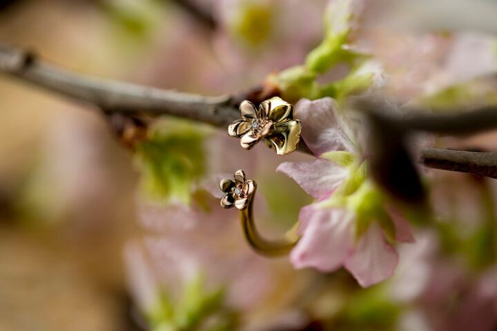 チェリーブロッサムリング［18Kピンクゴールド×18Kイエローゴールド×ダイヤモンド］￥89,000（税抜）