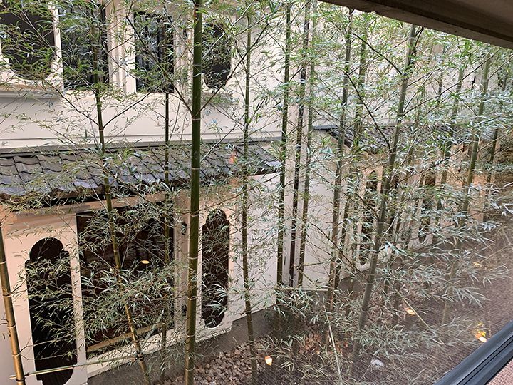 蔵とダイニングの間に位置する竹林の庭。竹が空に向かって伸び、キラキラと差し込む光も美しい
