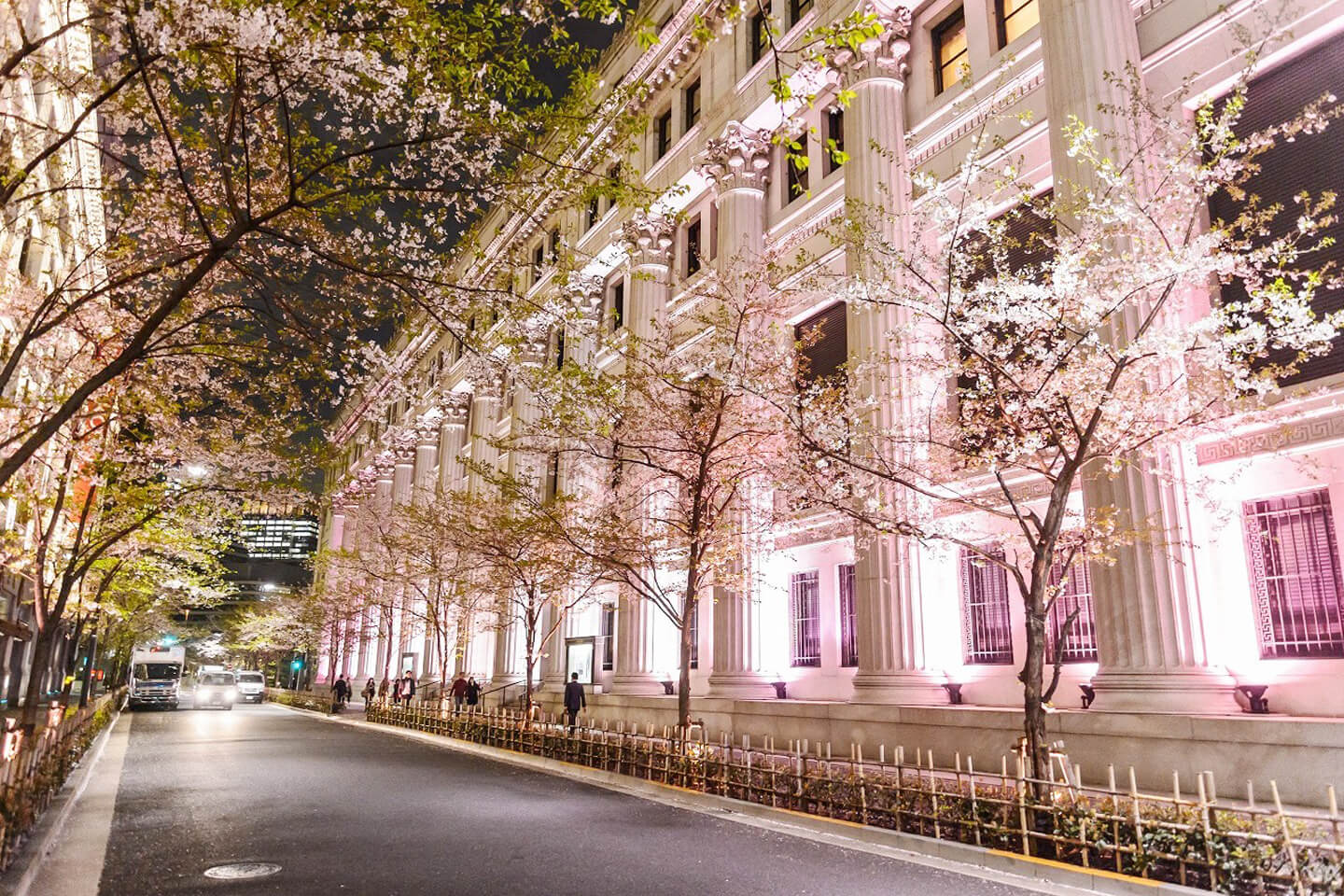 街中が桜色にライトアップされる「桜ライトアップ」