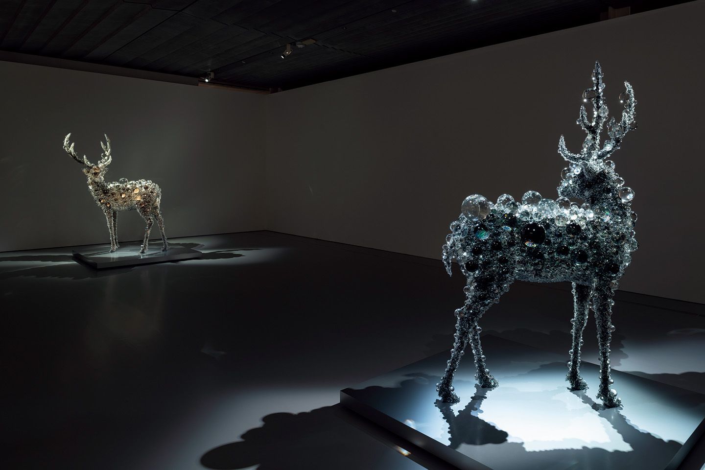 箱根「ポーラ美術館」で開館以来初となる “箱根” に根ざした展覧会『SPRING わきあがる鼓動』開催中 | Precious.jp（プレシャス）