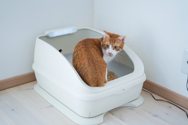 使えば使うほど、お得。