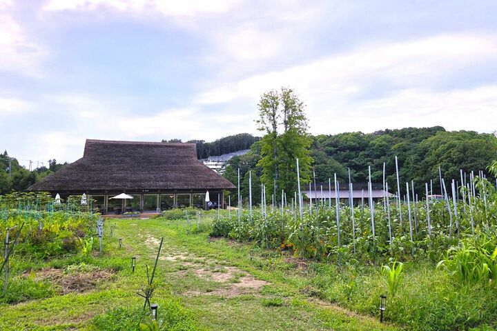 国内旅行_3,旅行