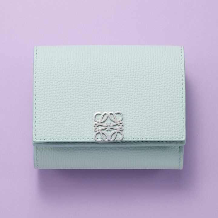 ロエベの財布「ペブル バーチカルウォレット スモール」