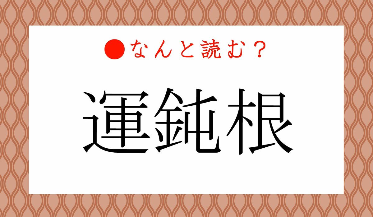 運 鈍 根