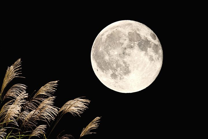 2020年の十五夜はいつ?
