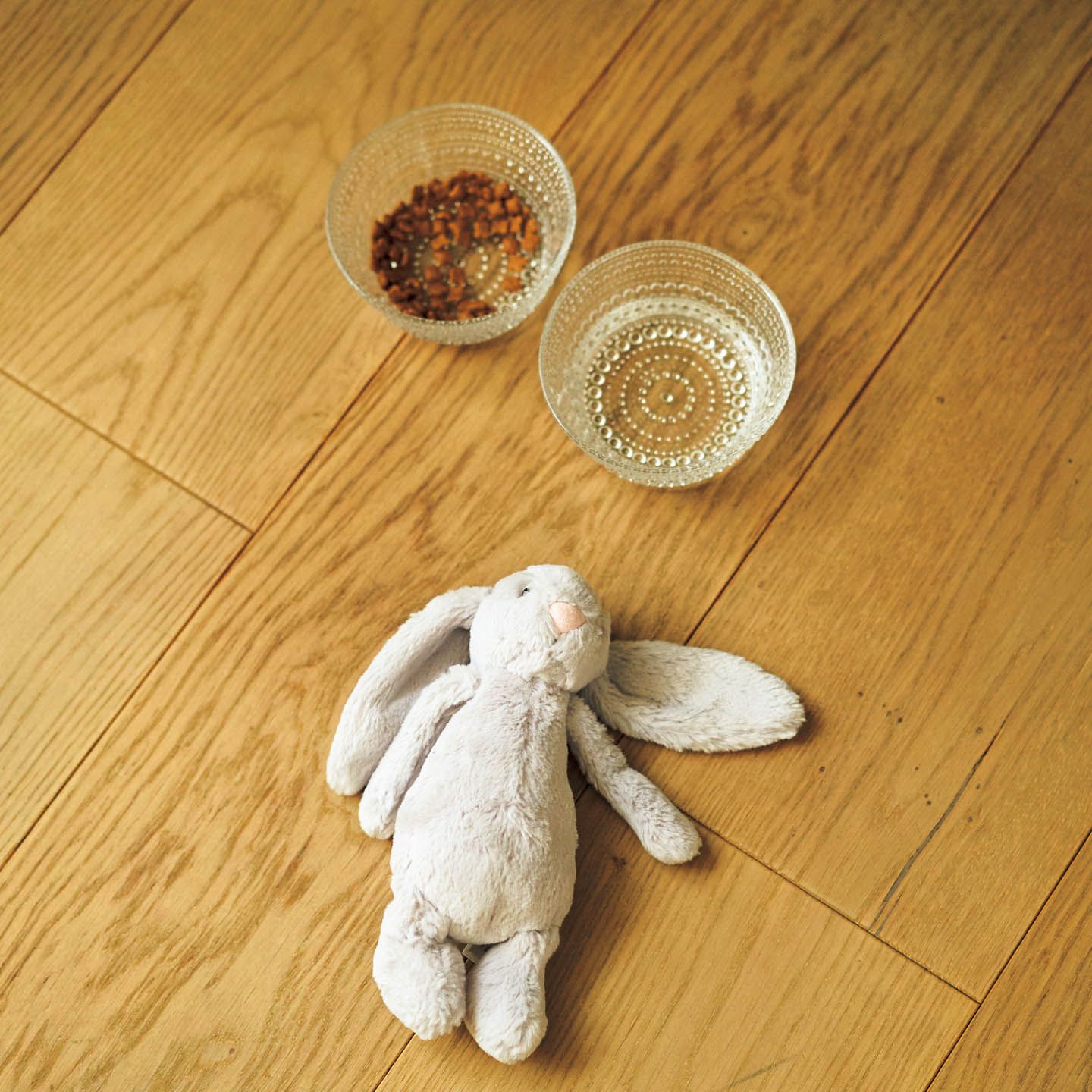 IE Precious_11,猫_8