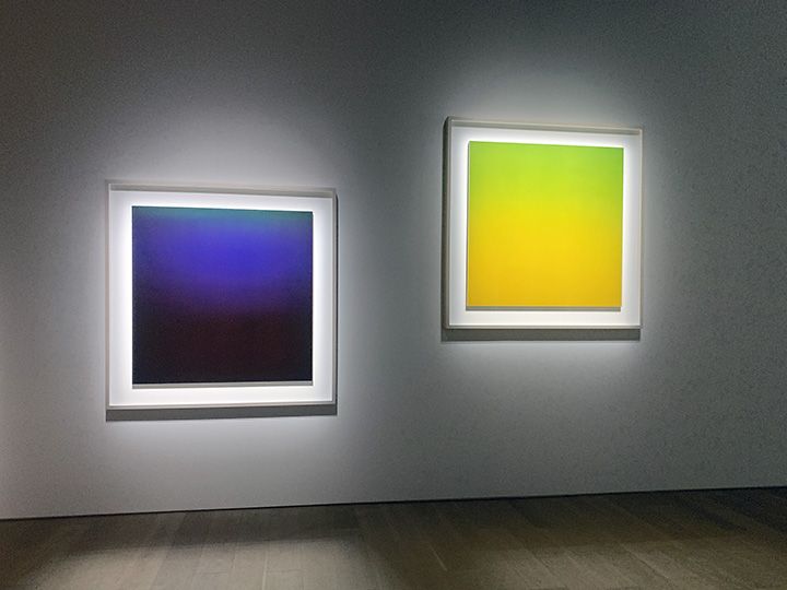 世界初公開となる大判カラー作品「OPTICKS」シリーズ。「杉本博司 瑠璃の浄土」展示風景 ©Hiroshi Sugimoto
