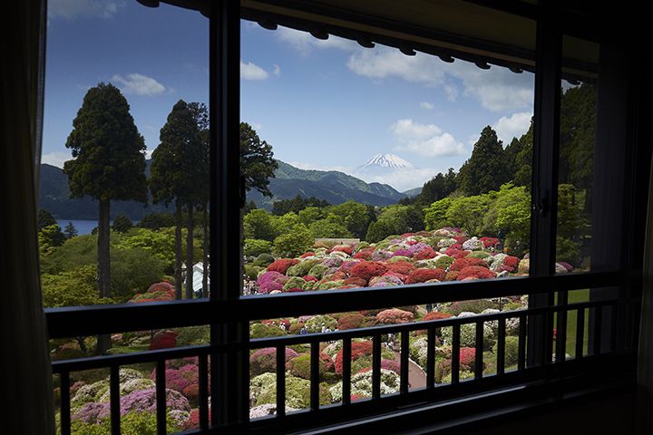 ゆったりとくつろぎながら、箱根の絶景を堪能