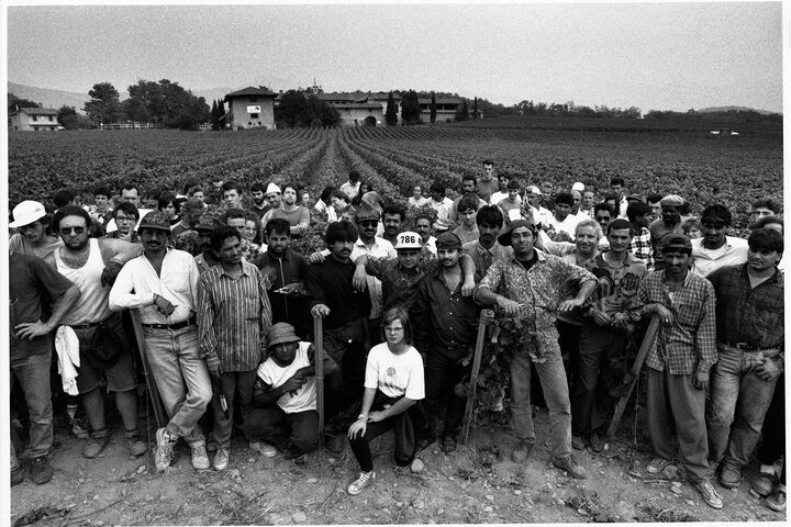 展覧会_3,ワイン_5