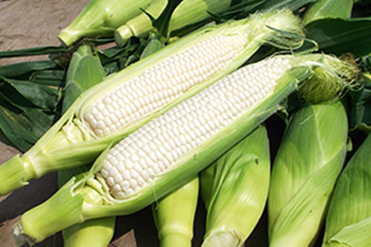 なかなかスーパーではお目にかかれないレアな野菜