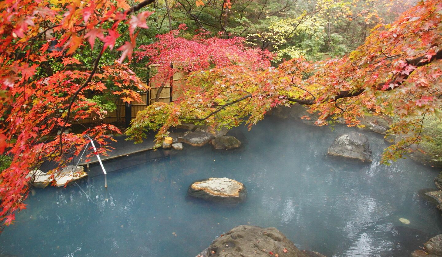 「那須温泉 山楽」の大露天風呂のイメージ
